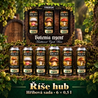 Regent 12° HOUBY multipack 6x0,5l plech - promo