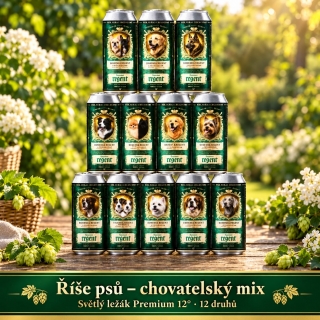 Regent 12° PSI multipack 6x0,5l plech - promo